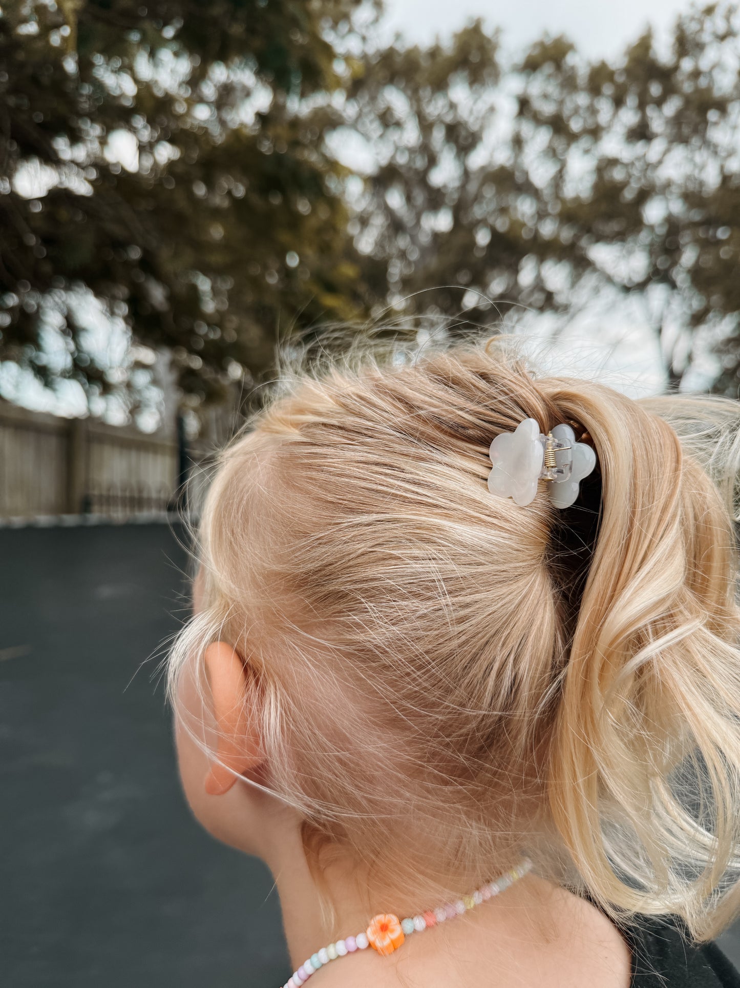 Ladybug Clip Set