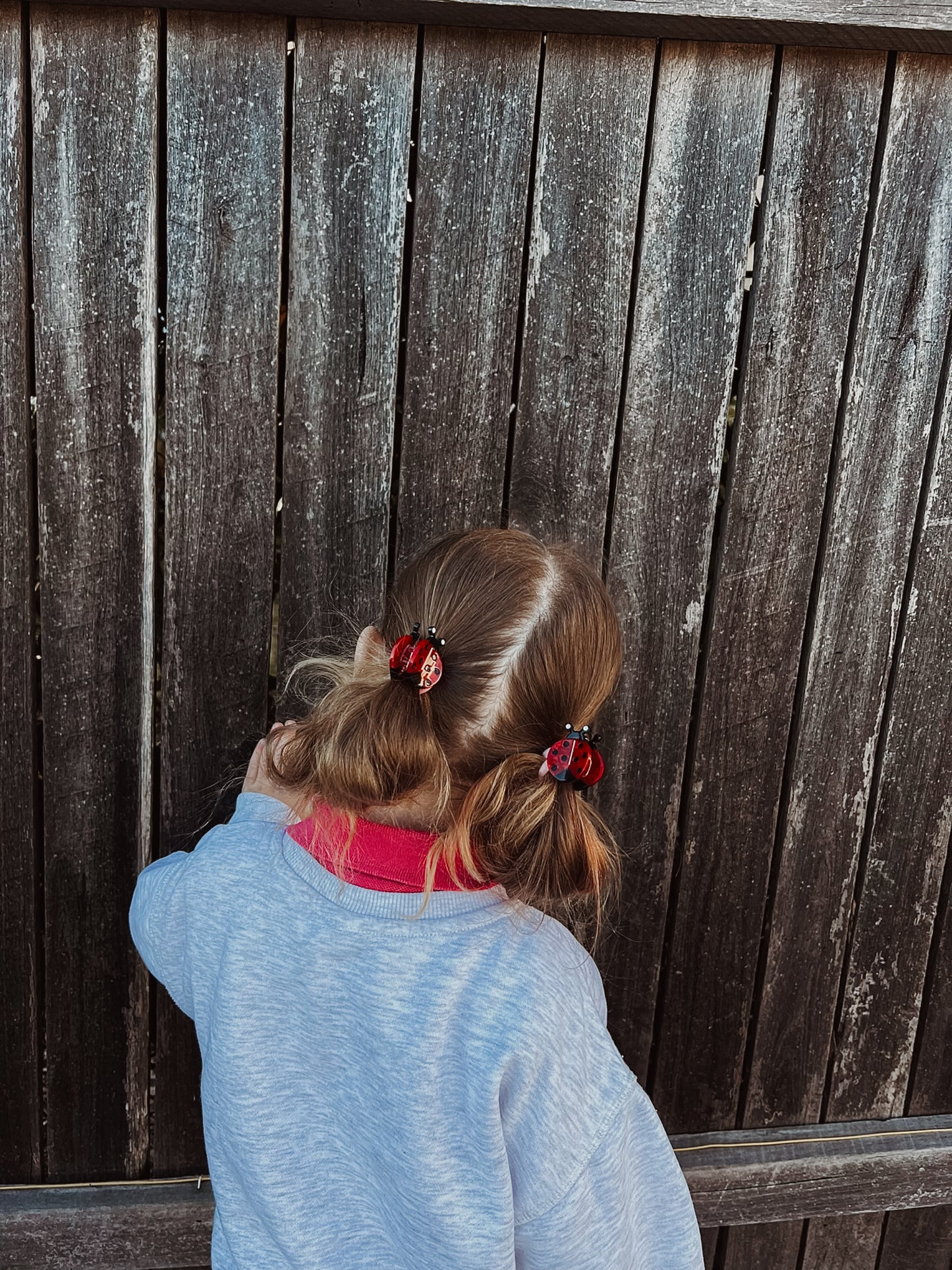 Ladybug Clip Set